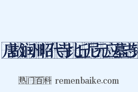 唐故润州昭代寺比丘尼元应墓志铭是什么意思的图片